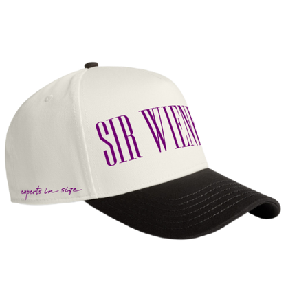 Black/Purple 5-Panel Hat